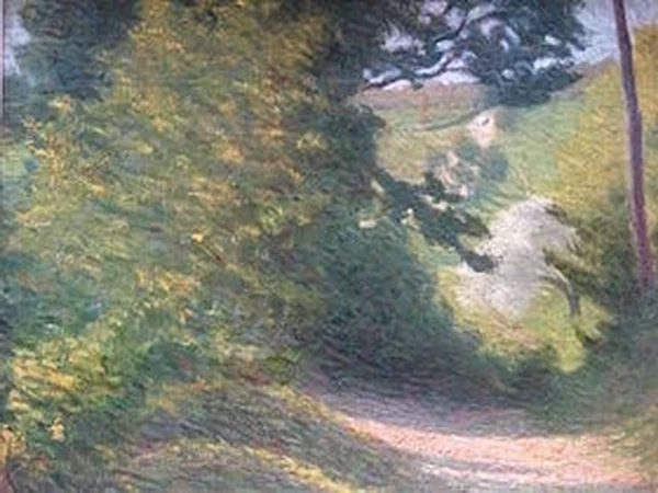 Stradina nel bosco